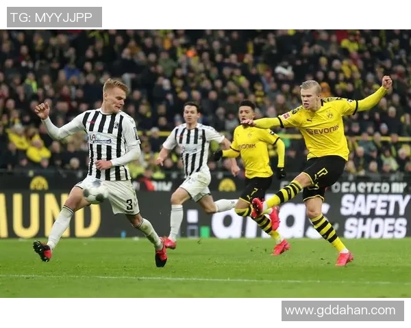 德甲焦点战:多特蒙德战平弗赖堡,平局再次引人瞩目 德甲焦点战:多特蒙德战平弗赖堡,平局再次引人瞩目